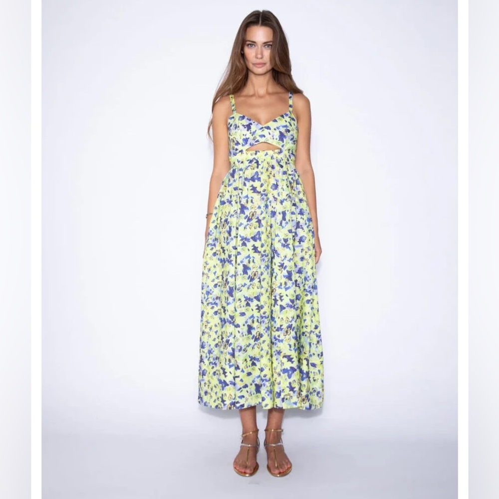 Karina Grimaldi Greta Midi Dress